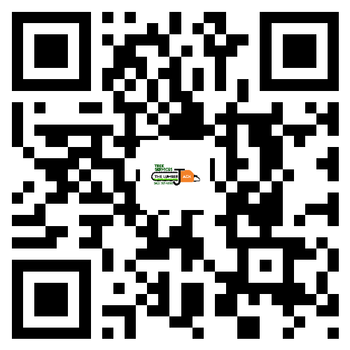 codigo qr (11)