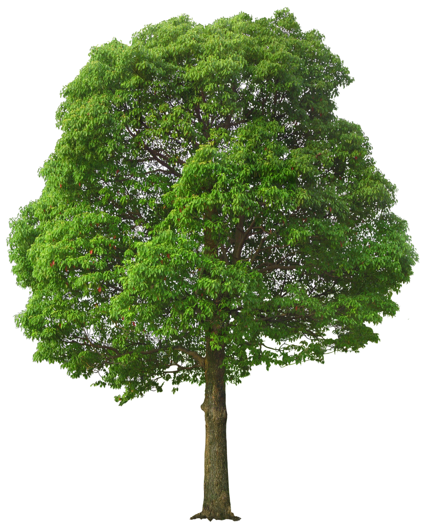 pngwing.com 38