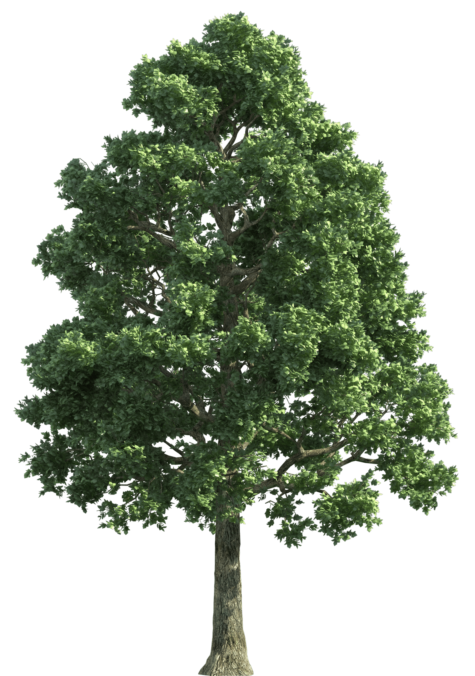 pngwing.com 39 scaled