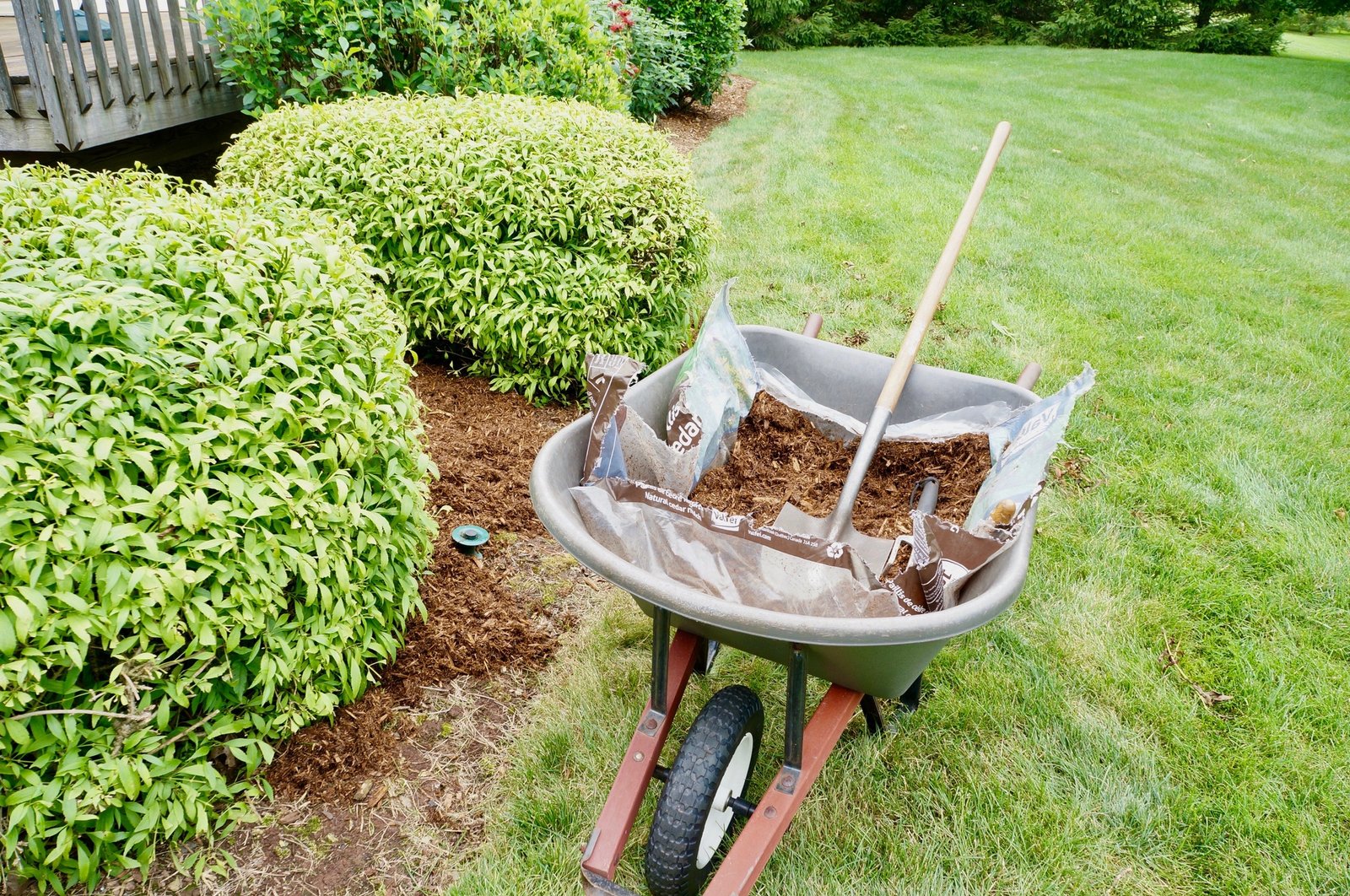 wheelbarrow full of mulch in a yard